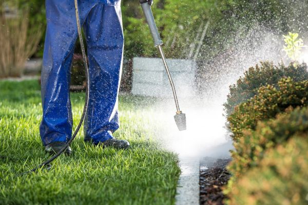 Curb Cleaning in South Bend