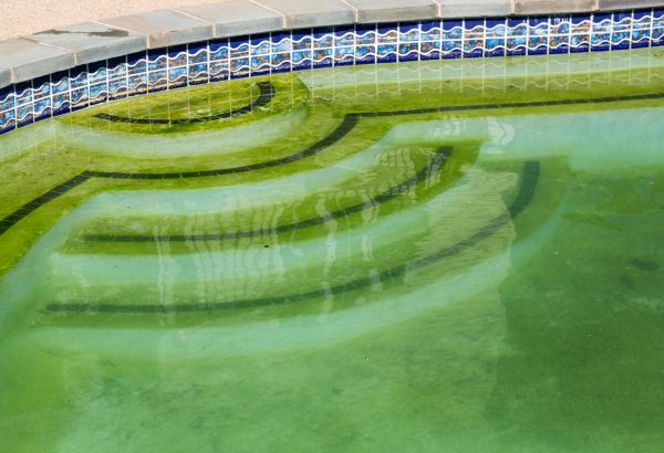 Pool Deck Algae Removal in South Bend