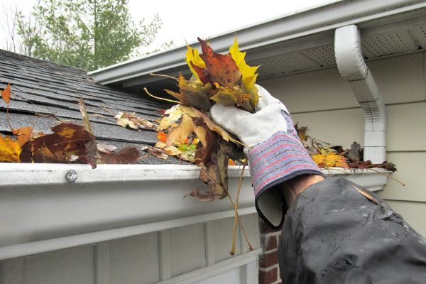 Eaves Cleaning in South Bend