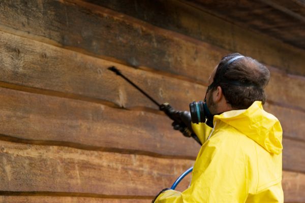 Cedar Siding Washing in South Bend