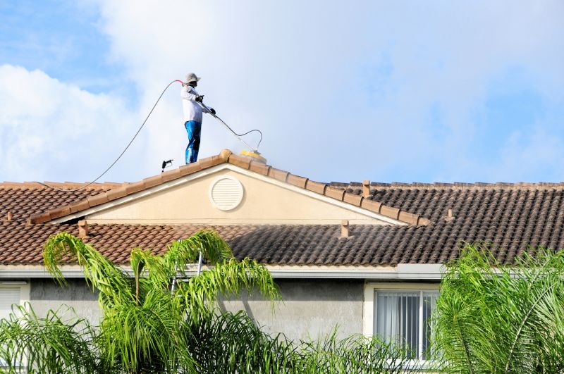 Roofline Cleaning
